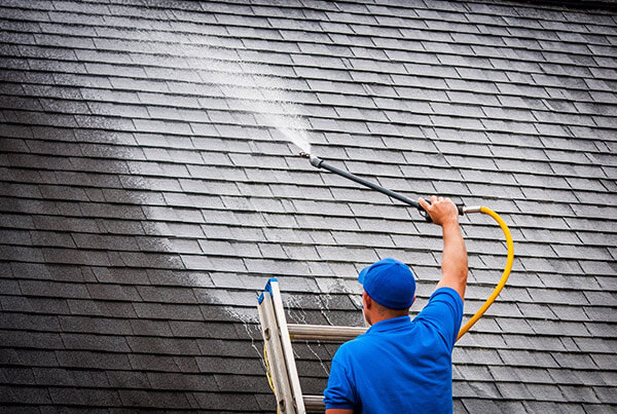 roof-cleaning roof-cleaning
